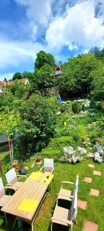 Casa Sperantei Apartment Sighisoara Bagian luar foto