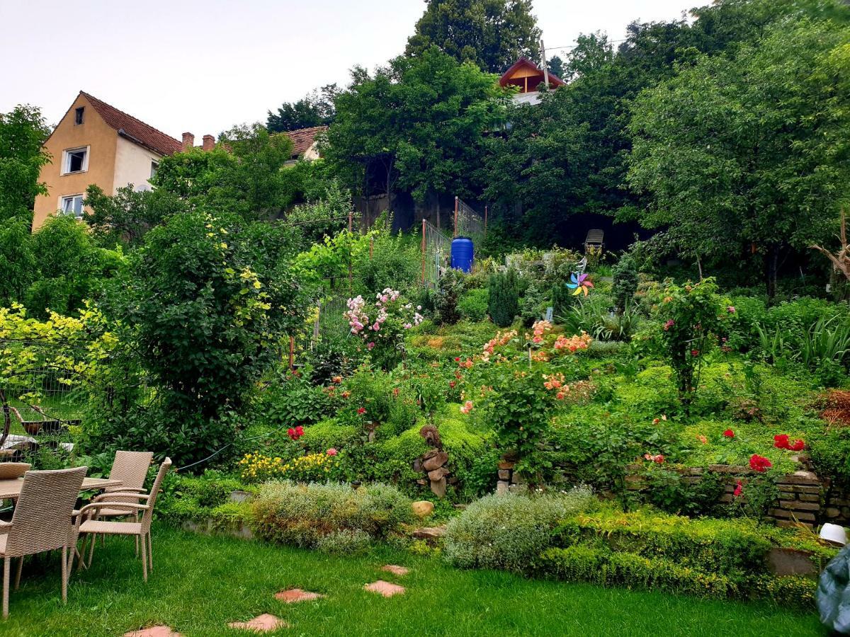 Casa Sperantei Apartment Sighisoara Bagian luar foto